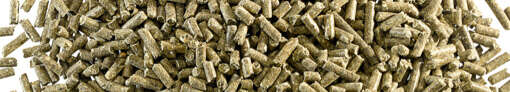 pellets pferdefutter filterbild